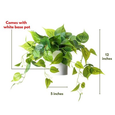 Potted Green Ivy in White Ceramic Tabletop Planter