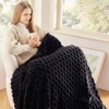 Soft Premium Silky Flannel Fleece 3D Clouds Stylish Jacquard Lightweight Bed Blanket All Season Use 350GSM Black, Twin60x80 - 2 of 4