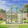 GustoWave 6x9 Ft Aluminum-Framed Polycarbonate Greenhouse Kit - 3 of 4