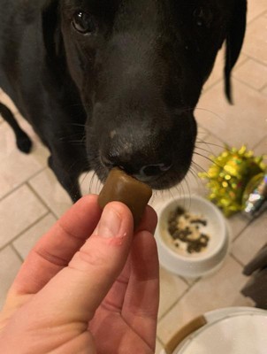 Guest review image 2 of 2, zoom in