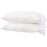 Micropuff 100% Microfiber Pillow Case – White (2 pack)