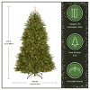 National Tree Company Pre-Lit Full Dunhill Fir Artificial Christmas Tree Clear Lights - 4 of 4