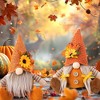 BABYYER Thanksgiving Gnome Plush Decor, Sunflower Faceless Doll, Autumn Harvest Gifts for Home Party Table Shelf and Indoor Holiday Decorations - 3 of 4