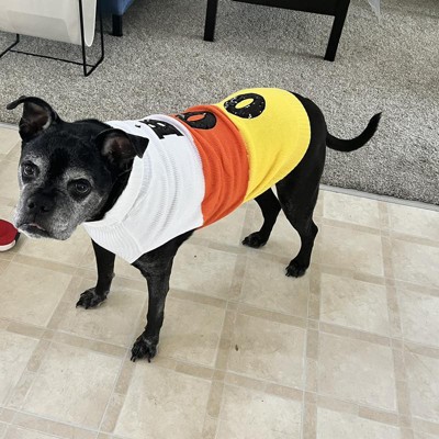 Halloween Dog Sweater - L - Hyde & Eek! Boutique™ : Target