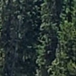 theo black silver narrow