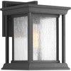 Progress Lighting Endicott 1-Light Outdoor Wall Lantern, Textured Black, Linen Glass Shade - 2 of 4
