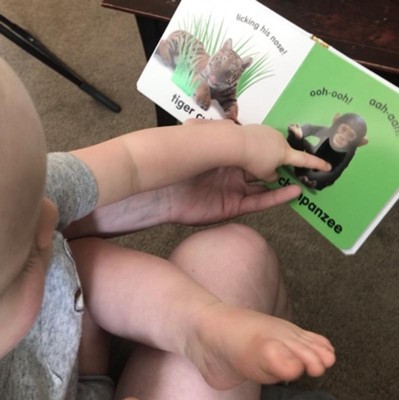 Baby Touch and Feel Animals Board Book with Colorful Illustrations