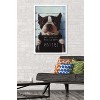 Trends International Lucia Heffernan Art - Boston Mug Shot Framed Wall Poster Prints - 2 of 4