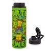 Silver Buffalo Teenage Mutant Ninja Turtles "Turtle Power" Stainless Steel Water Bottle - 2 of 4