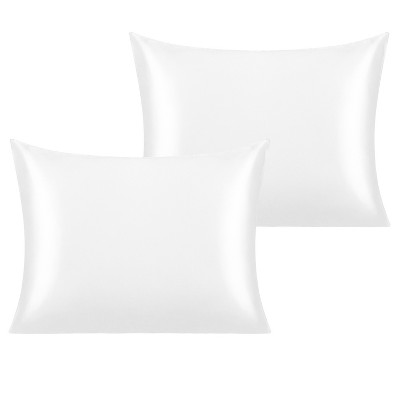 2 Pack Satin Pillowcases for Hair and Skin, Luxurious and Silky Pillow Cases with Envelope Closure - NTBAY