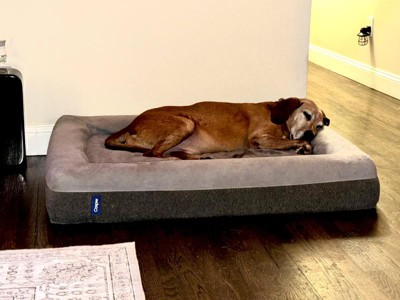 Casper dog cheap bed target