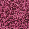 Hastings Home Memory Foam Shag Bath Mat (24x58), Pink - 4 of 4