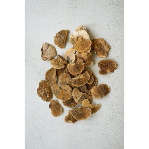 Dried Sponge Mushrooms – 6" Tall Rustic Bowl and Vase Filler Bag of 48 by Kalalou - 1 of 3