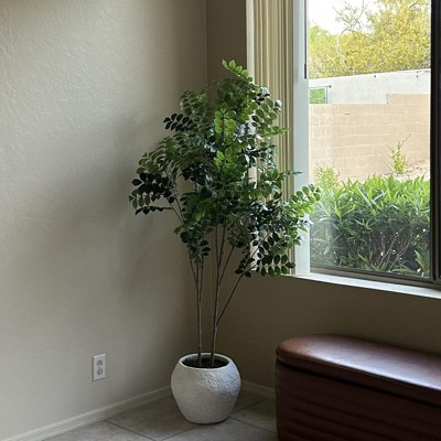 Guest review image 2 of 2, zoom in