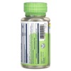 Solaray True Herbs, Echinacea Goldenseal, 500 mg, 100 VegCaps - 3 of 4