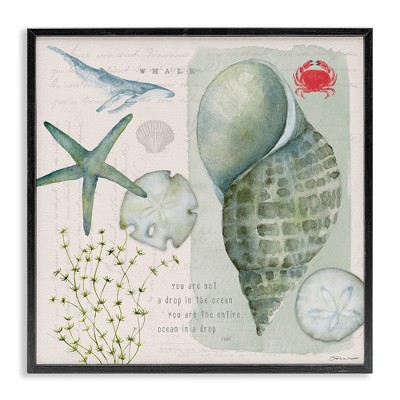 Stupell Industries Sea Shell Inspirational Collage, 24" x 24"