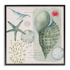 Stupell Industries Sea Shell Inspirational Collage, 24" x 24" - 1 of 4
