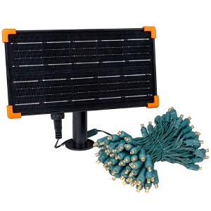 Novelty Lights 100 True Twinkle (100%) LED Solar Powered String Lights 4" Spacing Green Wire 44 Feet - 1 of 4
