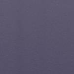 Figment