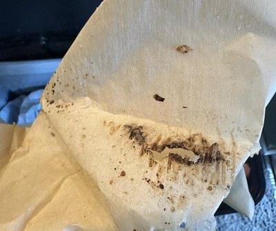 Guest review image 1 of 2, zoom in