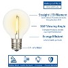 Novelty Lights Plastic G40 Globe Hanging LED String Light Replacement Bulbs E12 Candelabra Base 1 Watt - 3 of 4