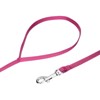 Country Brook Petz - Nylon Dog Leash (3/8 Inch Wide) - 2 of 3