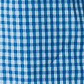 blue gingham