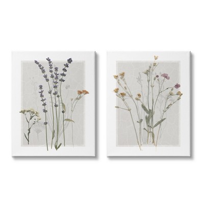 Stupell Industries Delicate Wildflower Sprigs 2 Piece Canvas Wall Art Set