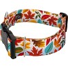 Country Brook Petz HossFit Jr Wide Deluxe Dog Collar - Awesome Autumn Collection - 2 of 4