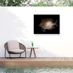 Trademark Fine Art - Ilan Ben Tov Cleaning Station Matted Framed Art - 1 of 4