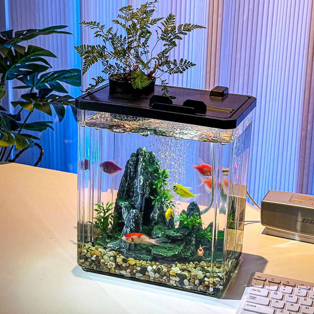 2.5 Gallon Small Fish Tank Kit, Betta Fish Tank with LED Light, Air Pump, Lid, Hydroponic Cup, 7 Pcs Plastic Fish Tank Starter Kits for Beta Fish, Go - thumbnail 3