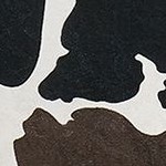 black and brown separation