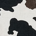 black and brown separation