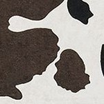 black and brown separation