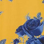 yellow blue floral