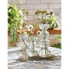 tagltd Bella Pebble Large Clear Glass Vase - Decorative Novelty Vase for Everyday Use, 9.25" H x 2.93" W, Hand Wash Only - 2 of 2