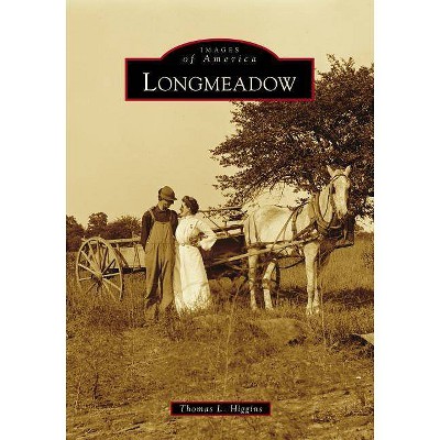 Longmeadow - by  Thomas L Higgins (Paperback)