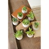 Small Faux Succulents with Round Cement Pots – 2.25" Modern Decorative Greenery, Set of Eight by Kalalou - 2 of 3