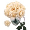 Floral Home 8" Pick Ivory Rose - 50-Piece - 3 of 4