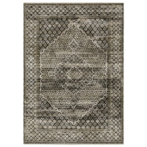 Oriental Weavers Chamberlain CH02D Grey/ Beige Indoor Area Rug - 5'3" x 7'6" - 1 of 4