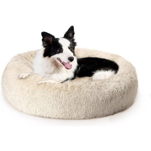 Target dog clearance beds