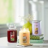 Original Large Black Cherry Large Jar Candle 22oz - Yankee Candle: Paraffin Wax, Glass Container, 110hr Burn Time - 4 of 4