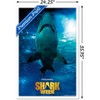 Trends International Shark Week - Smile Framed Wall Poster Prints - 3 of 4