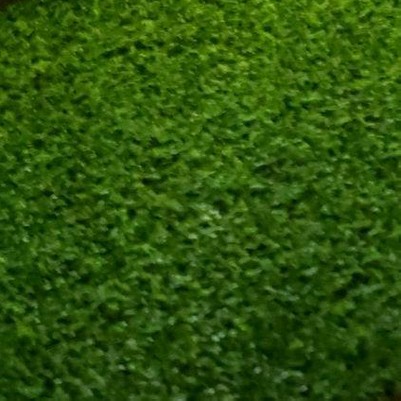 emerald green