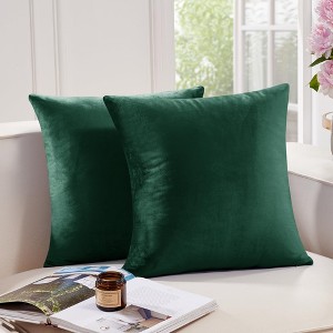 Deconovo Home Velvet Soft Decorative Pillow Covers Invisible Zipper Cushion Cover, 2-Pack - 1 of 4