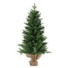 3FT Tabletop Christmas Tree - 363 Branch Tips (PE+PVC), 50 Warm White LEDs, Cordless Control Box for Easy Placement - 3 of 4