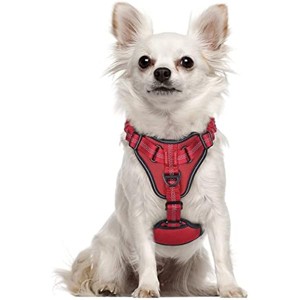 rabbitgoo Dog Harness for Small Dogs No Pull, Small Dog Vest with Bungee Handle & 2 Metal Clips, Belly Adjustable, Soft Padded (Red, S) - 1 of 1
