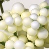 National Tree Company 13" White Peony Roses Bundle - 4 of 4