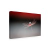 Trademark Fine Art - Maryam Zahirimehr Half A World Matted Framed Art - 2 of 4