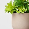 5" Potted Succulent - Threshold™ - 4 of 4